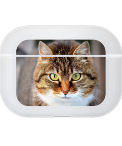 KURKIS Custom Case – AirPods Pro (Soft, Transparent, Matte, Front)