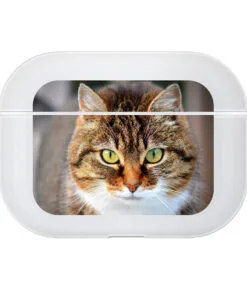 Alternative view of AirPods Flex Case – AirPods Pro