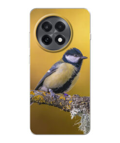 KURKIS Custom Case – OnePlus 13R (Soft, Transparent, Matte)