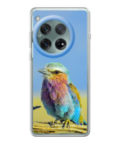 KURKIS Custom Case – OnePlus 12r (Soft, Transparent, Matte)