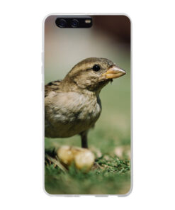 KURKIS Custom Case – Huawei P10 Plus (Soft, Transparent, Matte)