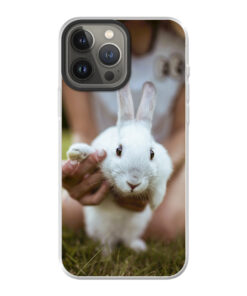 KURKIS Custom Case – Apple iPhone 13 Pro Max (Hybrid with MagSafe, Transparent, Matte)