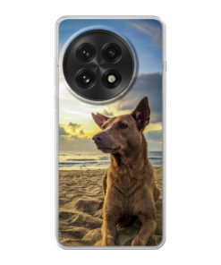 KURKIS Custom Case – OnePlus 13 (Soft, Transparent, Matte)