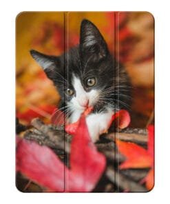 Alternative view of Smart Case – Apple iPad Air 2024 / iPad Air 2025 / iPad Air 2026 13 inch